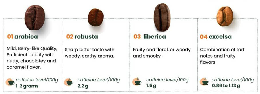 type of coffee beans