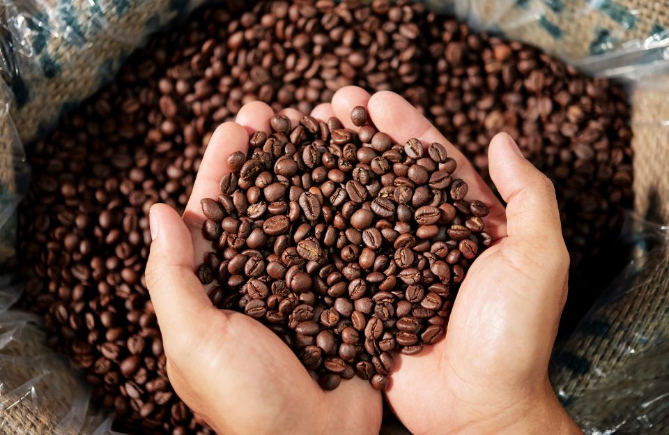 Top Gourmet Coffee Brands on Amazon